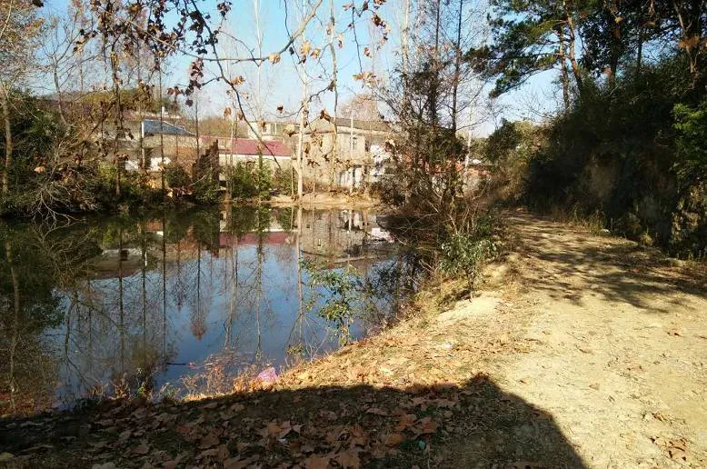 伍家山村风景3